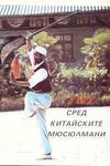 Ушу сред китайските мюсулмани
